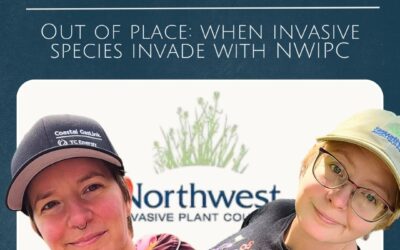 NWIPC on Wilder Insights Podcast!