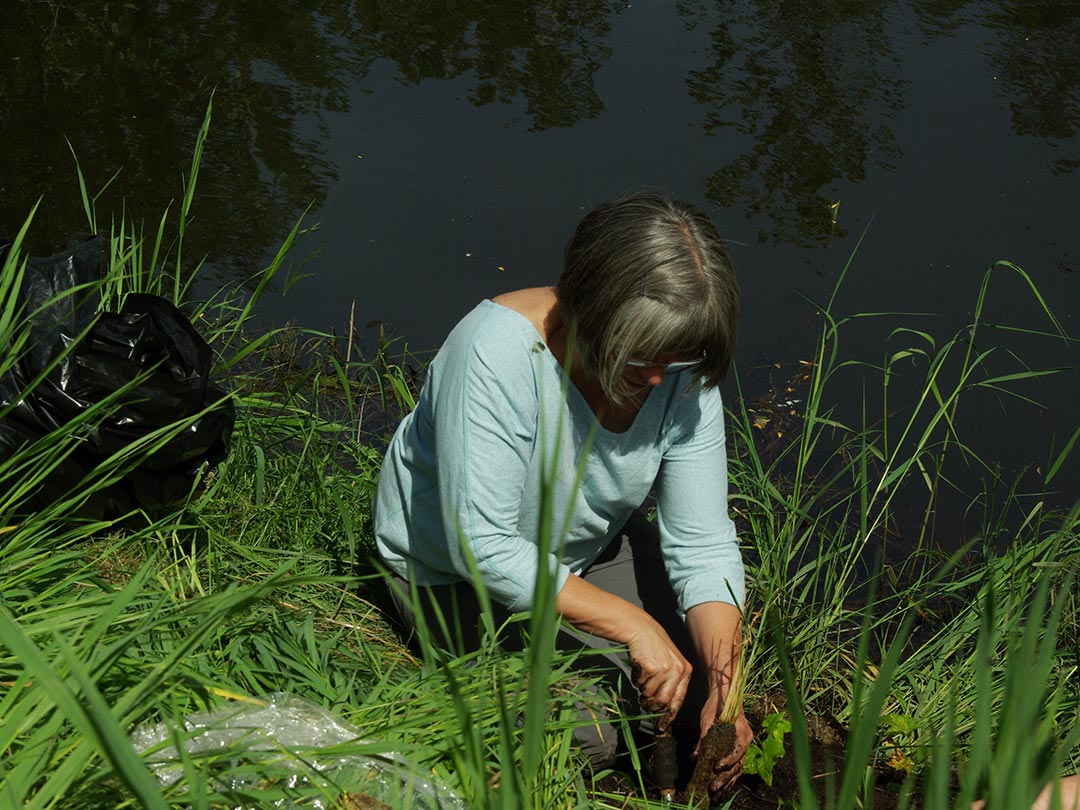 Habitat Restoration