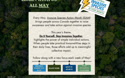 May is Invasive Species Action Month