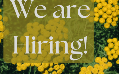 We’re Hiring!
