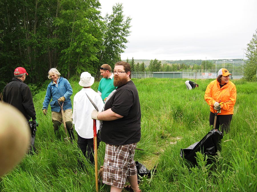 Volunteers with weed pull