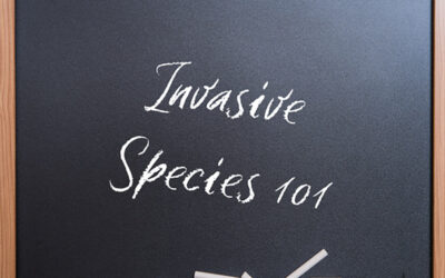 Calling all teachers!