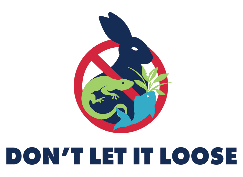 Don't Let It Loose