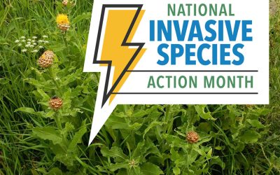National Invasive Species Month