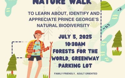 Nature Walk