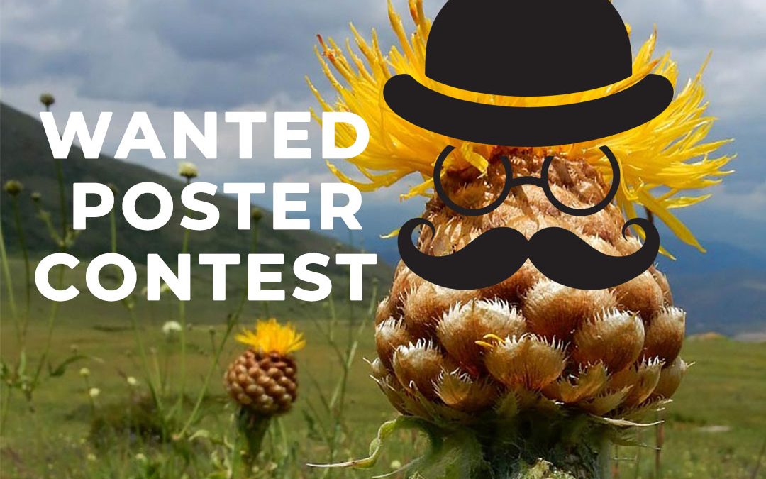 Wanted Poster Contest