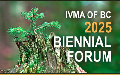 IVMA Biennial Forum