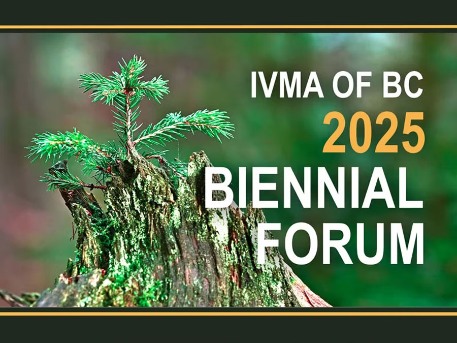 IVMA Biennial Forum